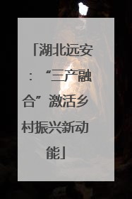 湖北远安：“三产融合”激活乡村振兴新动能
