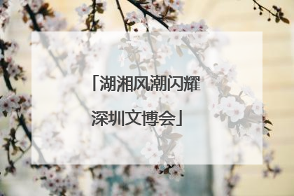 湖湘风潮闪耀深圳文博会
