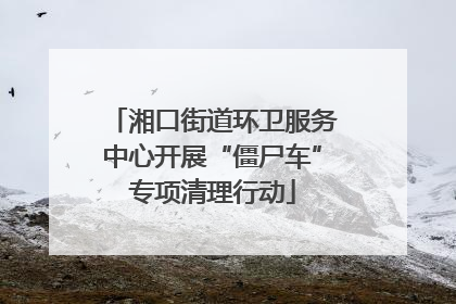 湘口街道环卫服务中心开展“僵尸车”专项清理行动