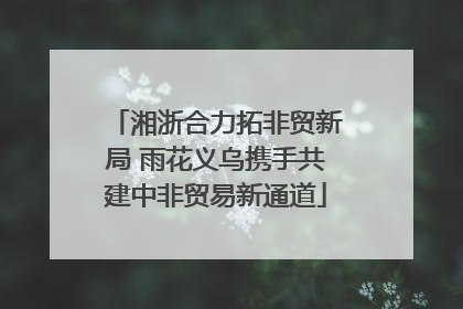 湘浙合力拓非贸新局 雨花义乌携手共建中非贸易新通道
