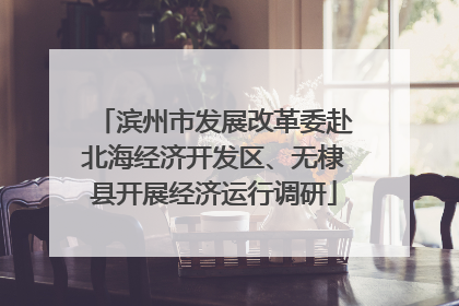 滨州市发展改革委赴北海经济开发区、无棣县开展经济运行调研