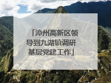 漳州高新区领导到九湖镇调研基层党建工作