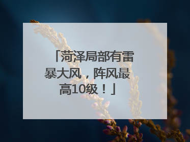 菏泽局部有雷暴大风，阵风最高10级！