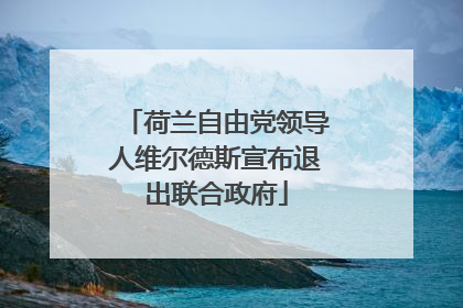 荷兰自由党领导人维尔德斯宣布退出联合政府