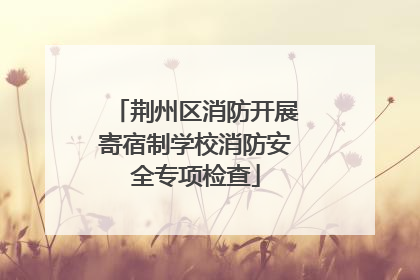 荆州区消防开展寄宿制学校消防安全专项检查