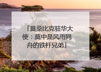莫桑比克驻华大使：莫中是风雨同舟的铁杆兄弟