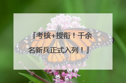 考核+授衔！千余名新兵正式入列！