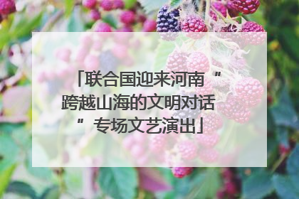 联合国迎来河南“跨越山海的文明对话”专场文艺演出