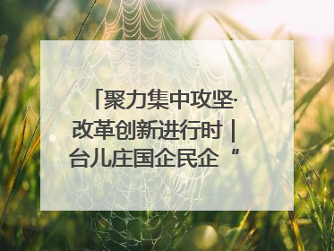 聚力集中攻坚·改革创新进行时｜台儿庄国企民企“联姻”记