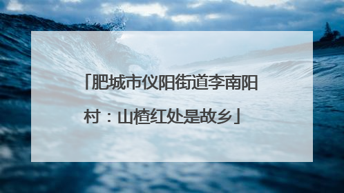肥城市仪阳街道李南阳村：山楂红处是故乡