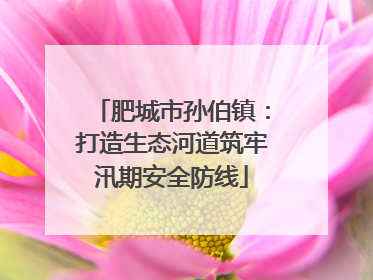 肥城市孙伯镇：打造生态河道筑牢汛期安全防线