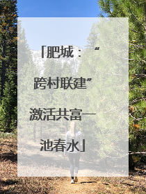 肥城：“跨村联建”激活共富一池春水
