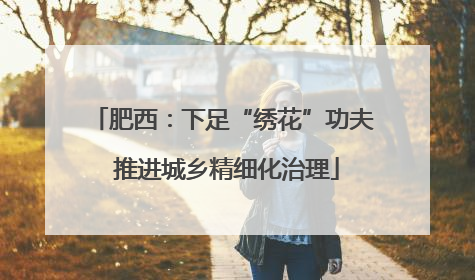 肥西：下足“绣花”功夫 推进城乡精细化治理