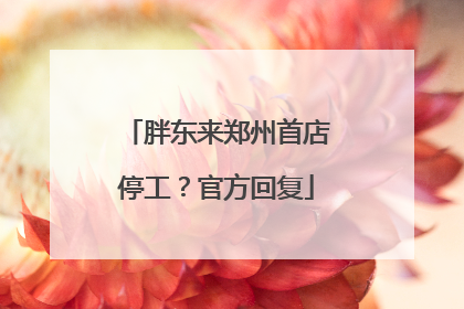 胖东来郑州首店停工？官方回复