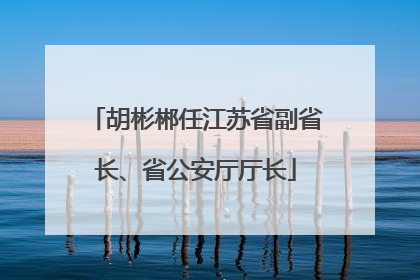 胡彬郴任江苏省副省长、省公安厅厅长