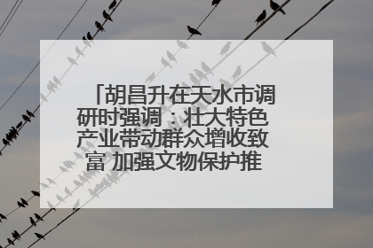 胡昌升在天水市调研时强调：壮大特色产业带动群众增收致富 加强文物保护推动文化创新发展