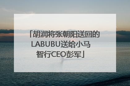 胡润将张朝阳送回的LABUBU送给小马智行CEO彭军