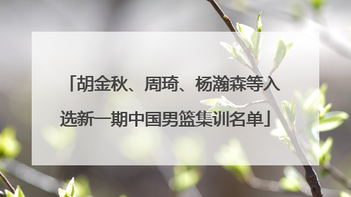 胡金秋、周琦、杨瀚森等入选新一期中国男篮集训名单