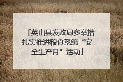 英山县发改局多举措扎实推进粮食系统“安全生产月”活动