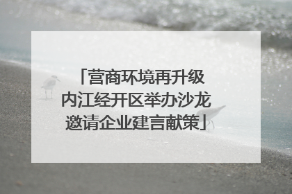 营商环境再升级 内江经开区举办沙龙邀请企业建言献策