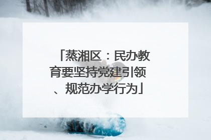 蒸湘区：民办教育要坚持党建引领、规范办学行为
