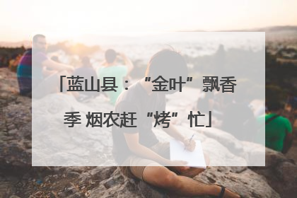 蓝山县：“金叶”飘香季 烟农赶“烤”忙