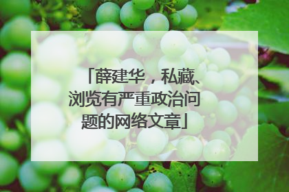 薛建华，私藏、浏览有严重政治问题的网络文章