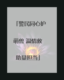 警民同心护萌兽 温情救助显担当