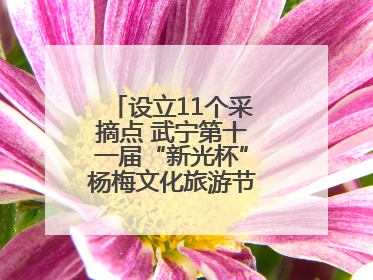 设立11个采摘点 武宁第十一届“新光杯”杨梅文化旅游节开幕（组图）