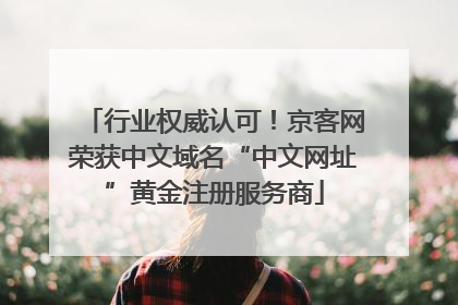 行业权威认可！京客网荣获中文域名“中文网址”黄金注册服务商