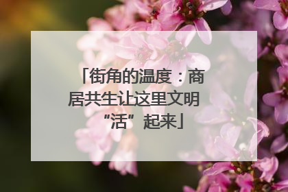街角的温度：商居共生让这里文明“活”起来