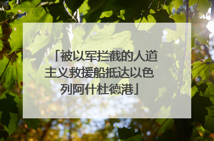 被以军拦截的人道主义救援船抵达以色列阿什杜德港