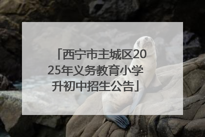 西宁市主城区2025年义务教育小学升初中招生公告