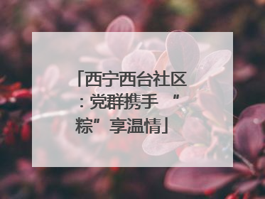 西宁西台社区：党群携手 “粽”享温情