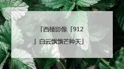西楼影像「912」白云飘飘芒种天