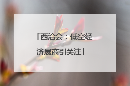 西洽会：低空经济展商引关注