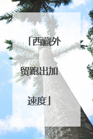 西藏外贸跑出加速度