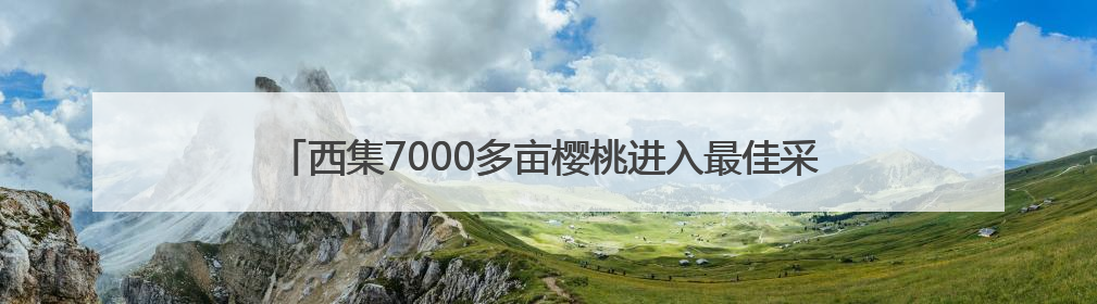 西集7000多亩樱桃进入最佳采摘期！这份“安心攻略”请收好