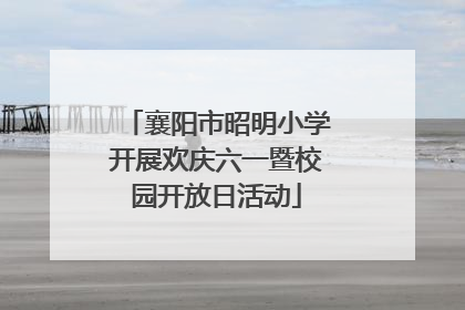 襄阳市昭明小学开展欢庆六一暨校园开放日活动