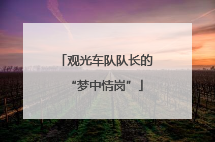 观光车队队长的“梦中情岗”