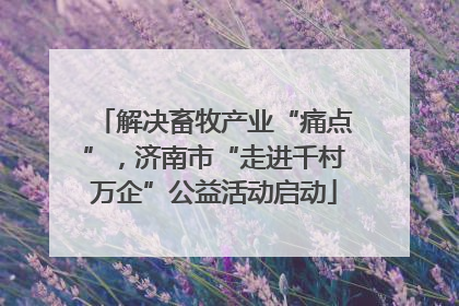 解决畜牧产业“痛点”，济南市“走进千村万企”公益活动启动