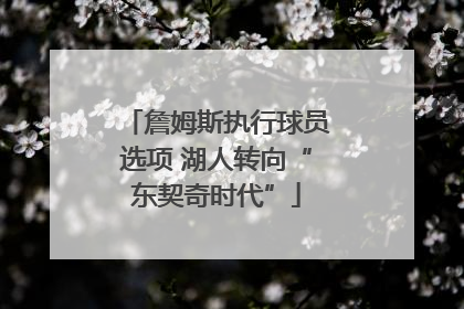 詹姆斯执行球员选项 湖人转向“东契奇时代”