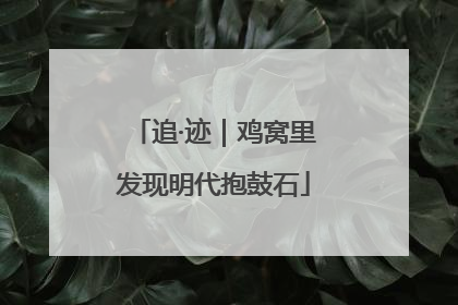 追·迹｜鸡窝里发现明代抱鼓石