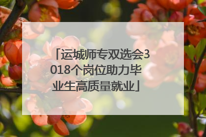 运城师专双选会3018个岗位助力毕业生高质量就业