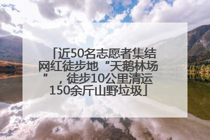 近50名志愿者集结网红徒步地“天鹅林场”，徒步10公里清运150余斤山野垃圾