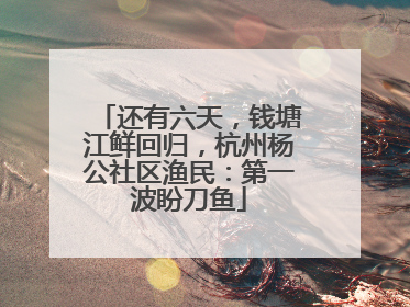还有六天，钱塘江鲜回归，杭州杨公社区渔民：第一波盼刀鱼