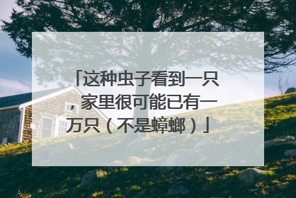 这种虫子看到一只，家里很可能已有一万只（不是蟑螂）