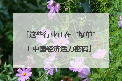 这些行业正在“爆单”！中国经济活力密码