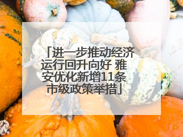 进一步推动经济运行回升向好 雅安优化新增11条市级政策举措