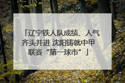 辽宁铁人队成绩、人气齐头并进 沈阳铸就中甲联赛“第一球市”